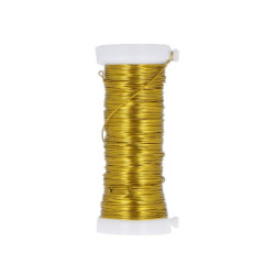 FON15590 1