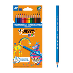 BIC8299892 1