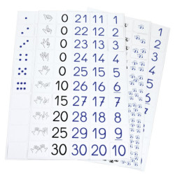 SEPACM1 1
